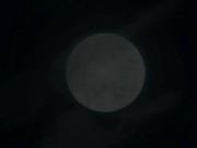 Heritage From Father_Vol.1