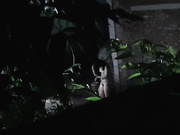 偷拍20岁美女邻居洗澡