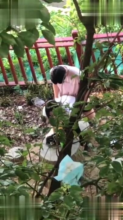 独家爆料：校园新瓜！辽宁理工校园激情！求一双没看过的眼睛！