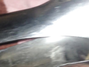 鸭嘴兽扩张过程