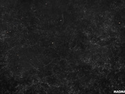 秘书被干口爆了