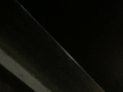 闪光强拍鲍鱼10