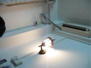 露脸多温柔的熟女给我服务