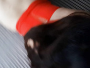 群内单男家里3p白嫩