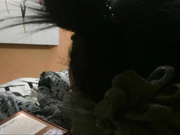 漂亮女朋友晚上伺候我 主動口交騎上來操逼 最後被幹的浪叫不斷 露臉精彩