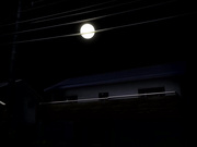 兄妹のジョウシキ